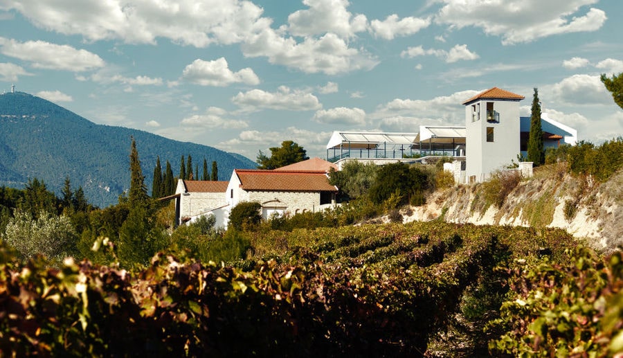 vineyards front the Chateau Kaniaris winery castle